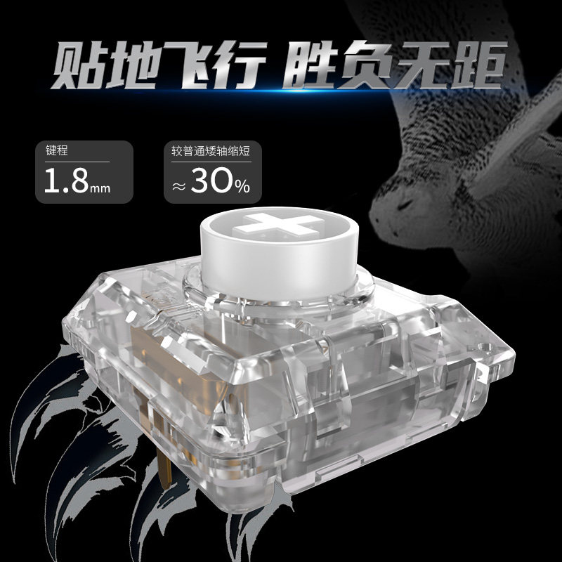 Kailh Choc White Owl Switch Mi - đánh giá và giá Gaming Accessories White